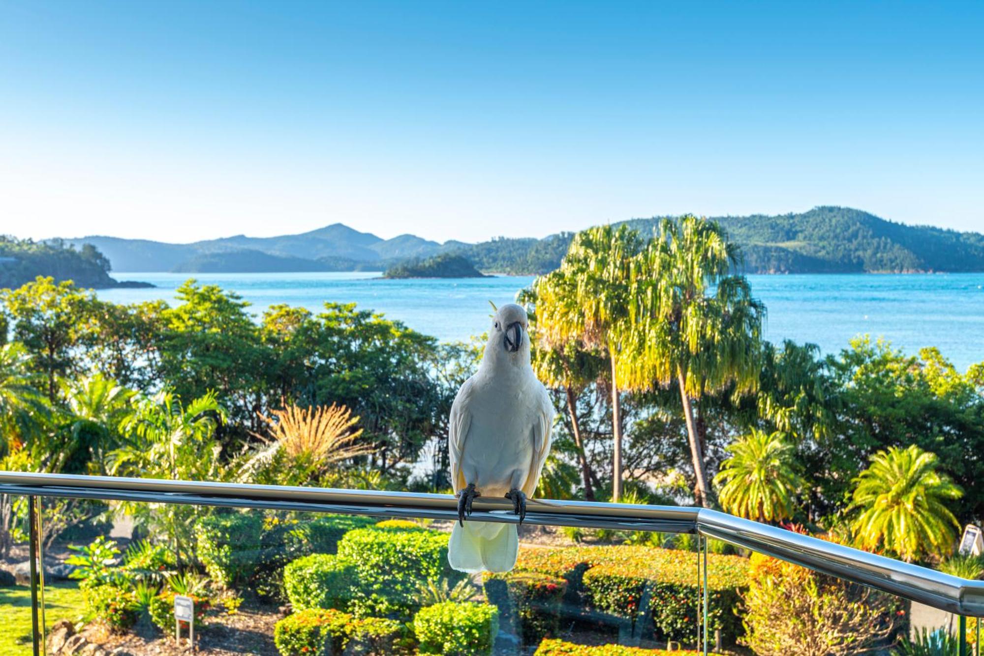 Lagoon Apartments On Hamilton Island By Hiha Exterior foto
